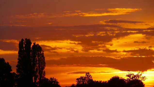 Colorful sunset with dramatic clouds and trees silhouettes with burning sun, colorful sunset landscapes