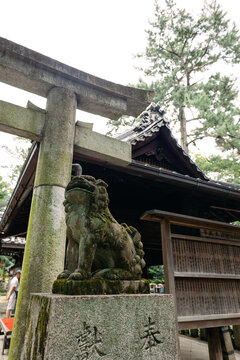 Stone torii gate and guardian lion statue at traditional Kyoto shrine surrounded by lush greenery, Kyoto, Japan 