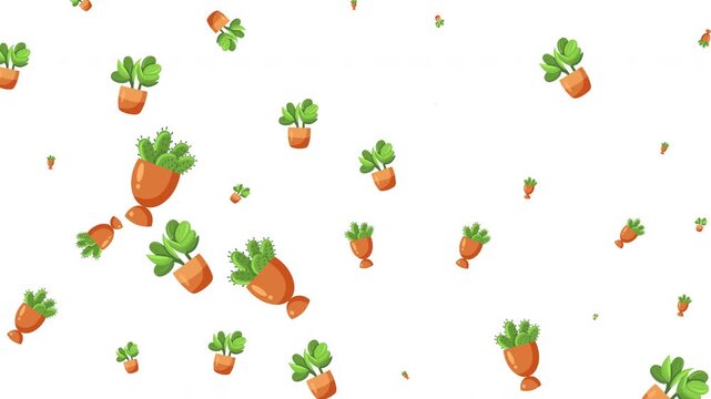 Cartoon potted plants and cactus pattern on white background