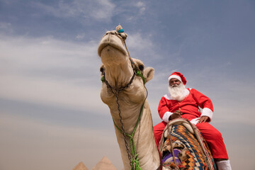 Naklejka premium Santa Claus in full red suit riding a traditionally saddled camel at the Giza plateau with pyramids visible below a pale overcast sky ideal for funny