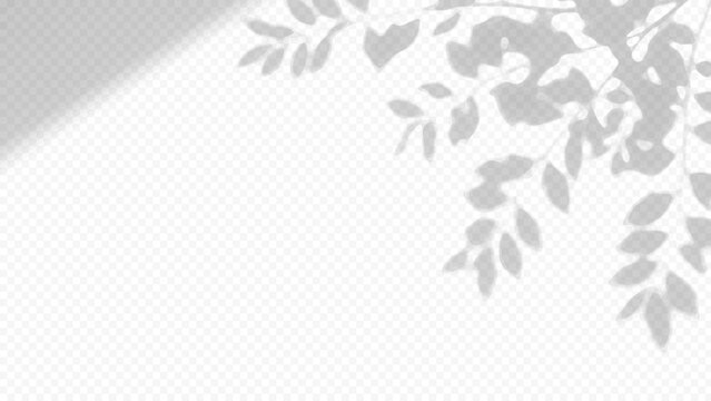 Easy to edit layered vector shadow. Tree leaves and branches on transparent checkerboard. Adjust tonal layer opacity to control shadow intensity and perceived softness.