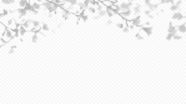 Easy to edit layered vector shadow. Hanging tree branches on transparent background. Adjust tonal layer opacity to control shadow intensity and perceived softness.