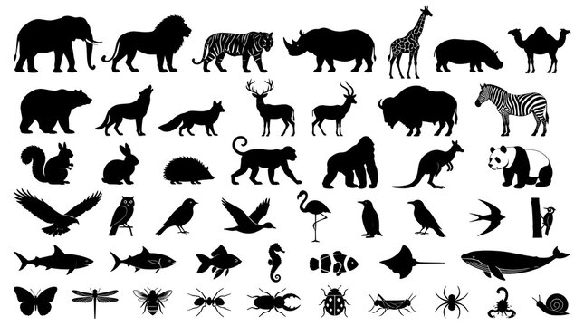 Collection of black animal silhouettes featuring diverse wildlife species on white