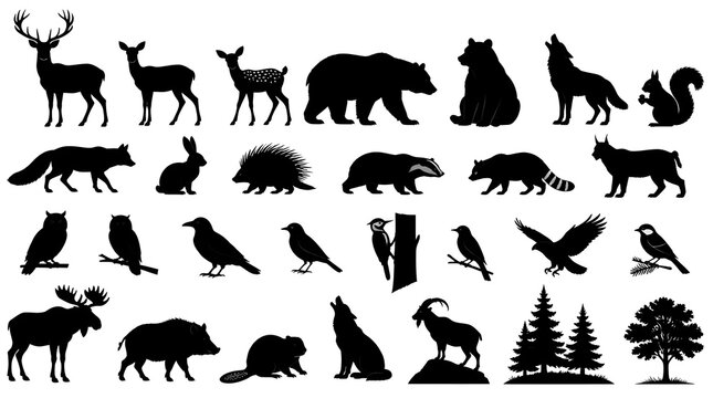 Collection of black forest animal silhouettes featuring diverse wildlife species
