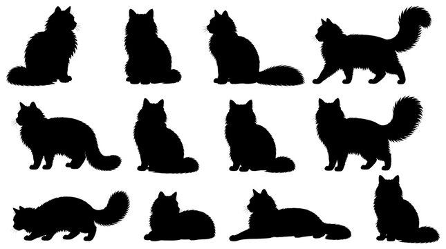 Collection of black silhouettes featuring various fluffy cats in different poses