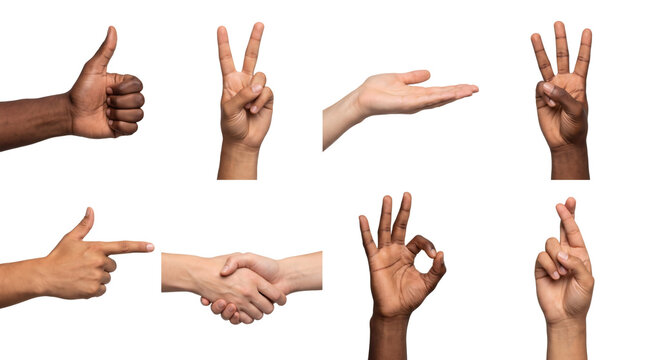 Hands demonstrate a thumbs up and peace sign with an open palm and handshake alongside pointing fingers. The raised fingers contrast with the central clasped hands on a transparent background.
