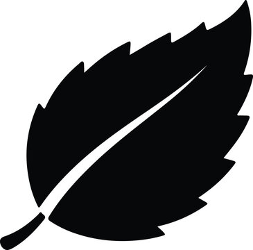 Silhouette organic garden leaf design element for natural botanical graphic illustration Vector