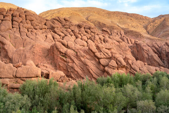 Dades Gorges in Morocco showcasing the unique Monkey Fingers rock formations with layered red cliffs and lush green trees of a desert oasis under a clear sky