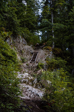 Wooden steps on a steep rocky hiking trail through evergreen forest