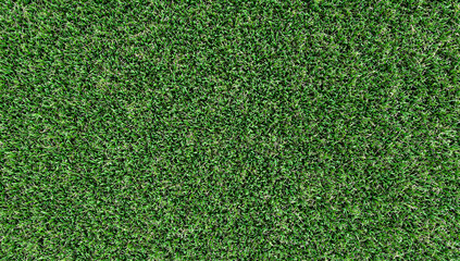 Obraz premium Full frame overhead background texture of manicured synthetic artificial green grass turf lawn