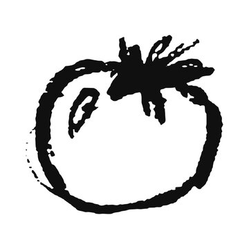 Tomato charcoal sketch vector
