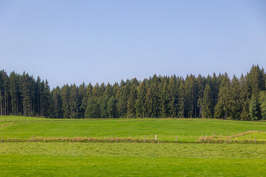 Rural Bavarian countryside landscape, Slope hills with green grass meadow under blue sky, white cloud and pine forest, A pine is any conifer in the genus Pinus of the family Pinaceae, Bavaria, Germany