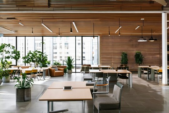 Empty open plan office interior with wooden ceiling, large windows, shared desks, chairs and green plants