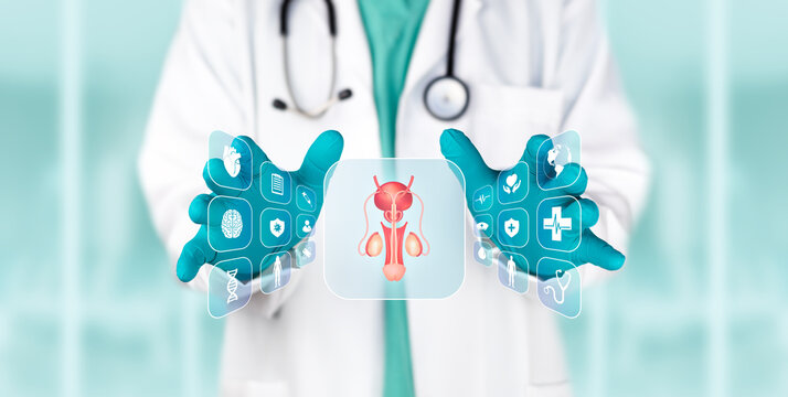Doctor examining a digital screen to detect abnormalities in the male reproductive system, for infertility diagnosis, laboratory analysis and science. Medical technology.