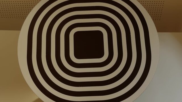 Spinning patterned plate creates a liquid visual illusion as motion transforms flat graphic designs.