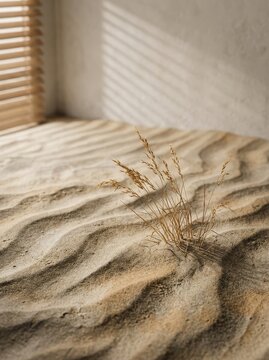 A single dry grass plant struggles to grow through the wavy sand dunes, illuminated by soft light filtering through blinds,