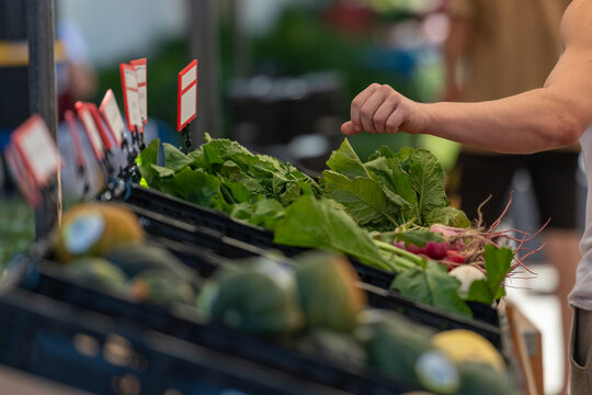 A person reaches over a row of black plastic bins filled with fresh produce. The vegetables range from radishes to squash and include leafy greens and herbs. There are white and red produce cards.