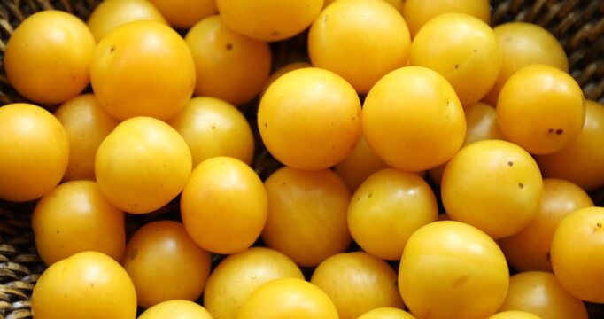 Ripe yellow cherry plums in wicker bowl, closeup