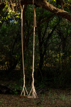 swing