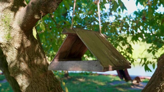 Rustic wooden bird feeder hanging on a tree branch in a summer park