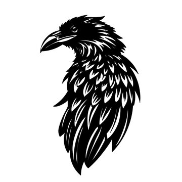 Crow head vector art with detailed feathers, dark raven portrait mascot design isolated on white background.