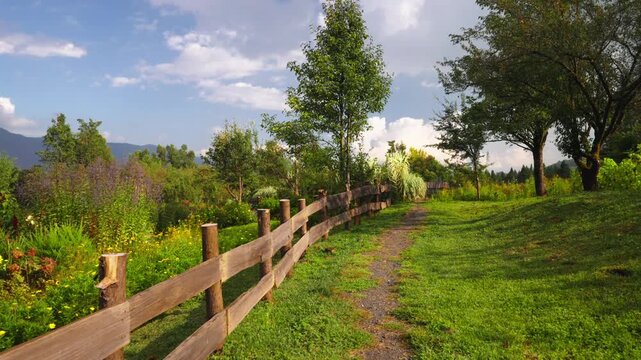 Wooden Fence Along a Lush Country Path