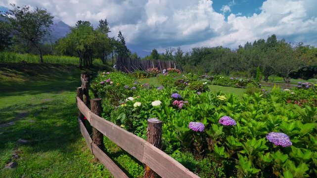 Wooden fence in vibrant flower garden