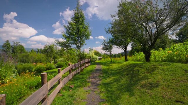 Dirt path with wooden fence in rural landscape