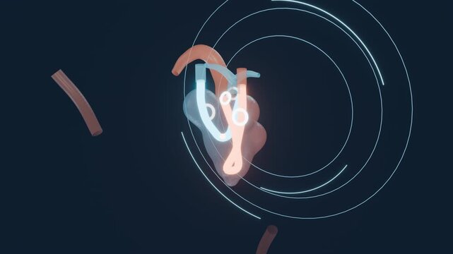Translucent 3D human heart with glowing blood flow seamless loop