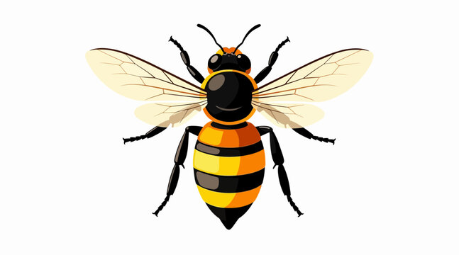 bee illustration, flying insect, yellow and black colors