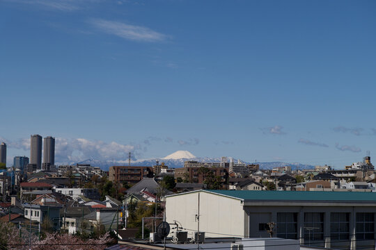 Scenic spring skyline of Ota City suburb featuring apartment towers and snowy Mt Fuji in April