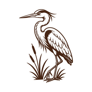 Vintage Hand Drawn Illustration of a Great Blue Heron Standing in Marsh Grass.