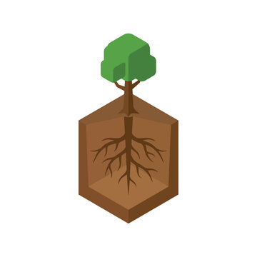 Isometric Vector Illustration of a Tree with Visible Root System in Soil Cross Section