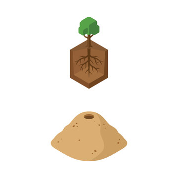 Isometric Vector Illustration of a Tree with Visible Roots and a Pile of Dirt