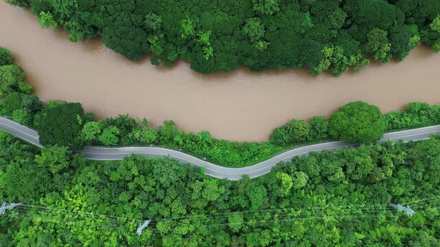 Top view of car in green forest with road and cars passing by. Eco-friendly transport. Concept of transportation, travel,