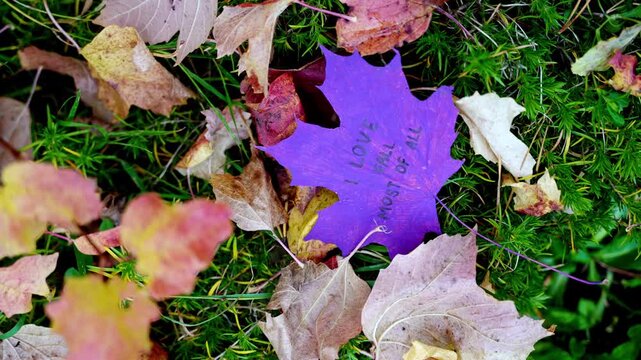 Autumn leaves painted in bright vivid colors on backdrop of seasonal trees. Decorative foliage features handwritten text I LOVE FALL MOST OF ALL lettering. Warm fall tones, woodland scenery and