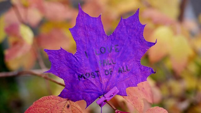 Autumn leaves painted in bright vivid colors on backdrop of seasonal trees. Decorative foliage features handwritten text I LOVE FALL MOST OF ALL lettering. Warm fall tones, woodland scenery and