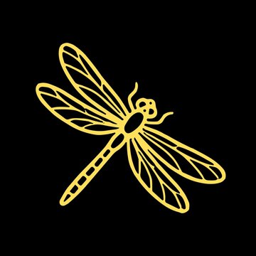 dragonfly on a white background