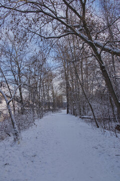 Edmonton River Valley in the Winter
