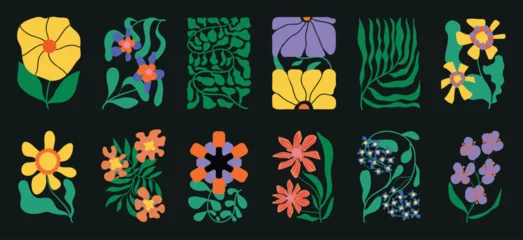 Fotobehang Sportwinkel Retro floral elements vector set with colorful stylized flowers, leaves and botanical shapes on dark background for posters, branding, packaging, invitations and decorative design  © TWINS DESIGN STUDIO