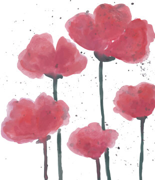 Red Poppy Flowers Watercolor Illustration