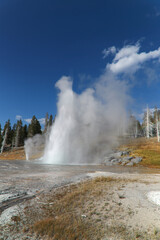 Powerful geyser eruption with drifting steam in Yellowstone © In-Between