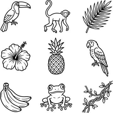 Set of hand drawn tropical jungle animals and plants icons