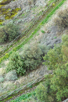Italy, Sardinia, Castelsardo.  Overhead view of winding footpath below the castle walls.
