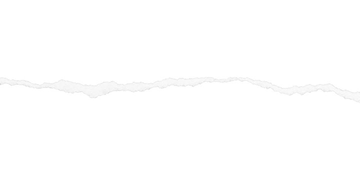White torn paper edge with gentle horizontal waves