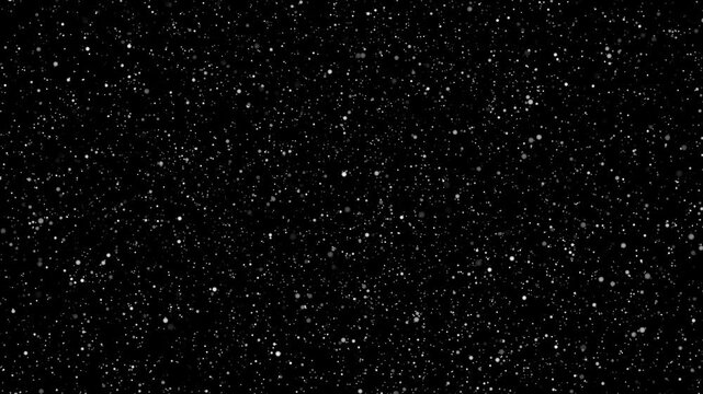 A dense field of tiny white glowing particles and micro dust floating smoothly against a pure black background.