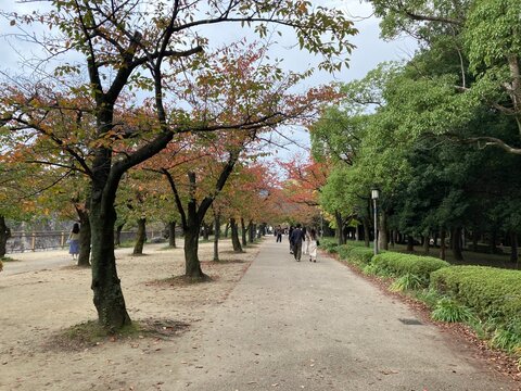 色づき始めた木々が並ぶ公園の散策路を歩く人々