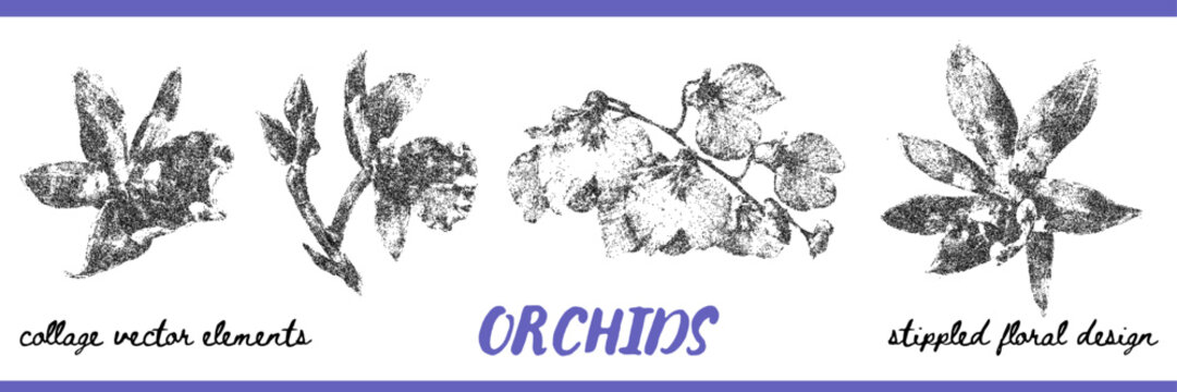 Stipple orchid collection with blooming flowers, buds and leafy branches in distressed black ink texture. Botanical collage elements for posters, packaging and printmaking design. Vector illustration