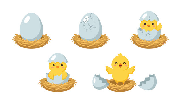 Cute Hatching Chick Vector Set Showing Life Cycle Stages from Whole Egg Cracked Egg Shell to Newborn Baby Chicken in Nest for Easter Graphic Designs