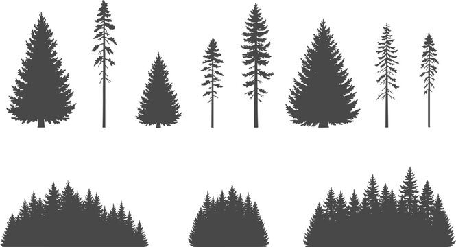 Detailed Pine and Fir Tree Silhouette Set Featuring Individual Evergreen Trees and Dense Forest Borders for Nature and Landscape Designs